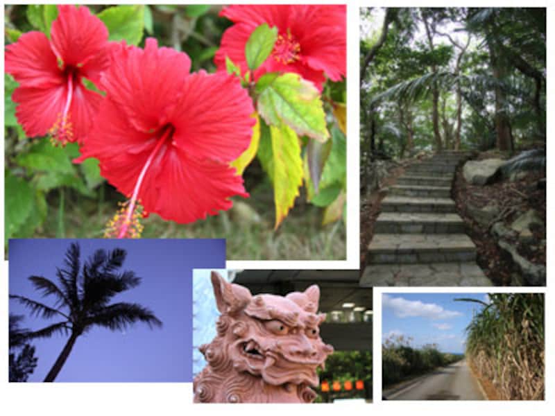 沖縄の素材 写真 イラスト のおすすめサイト4選 Web素材 All About