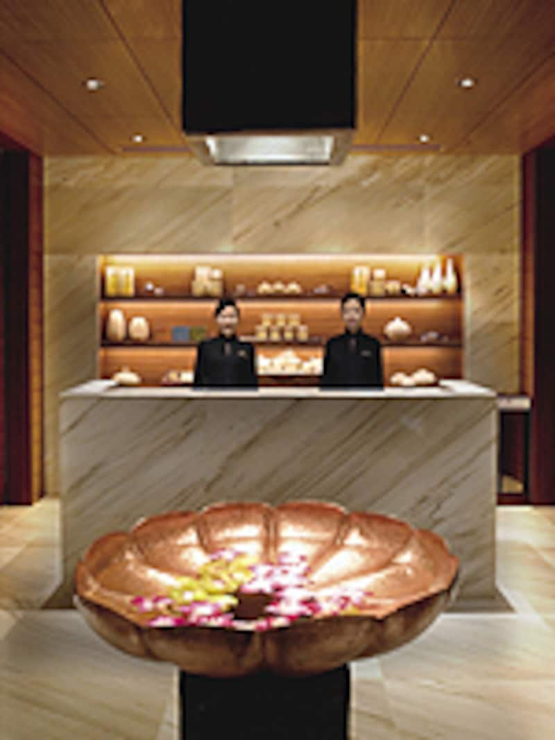 スパレセプション