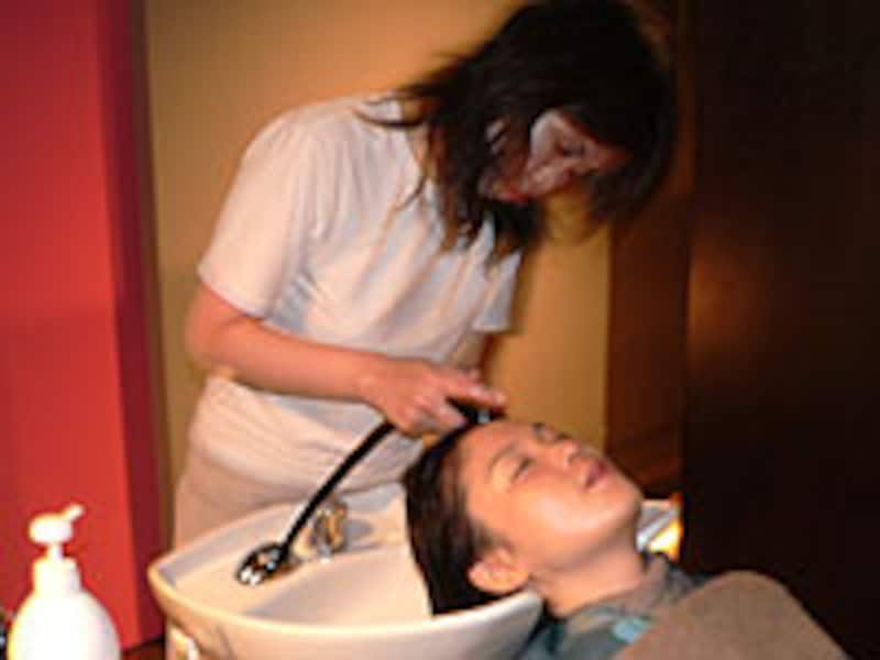 ビンカマジョール リンス