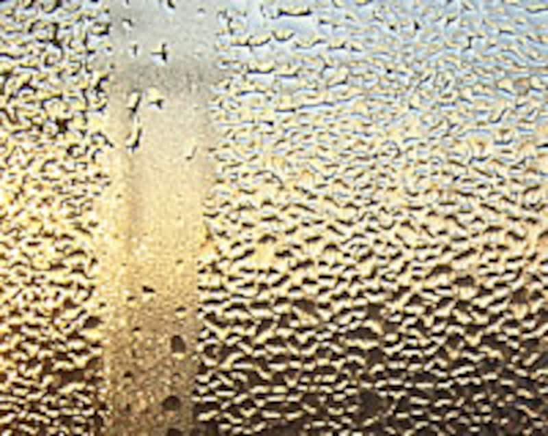 冬場の激しい結露は、梅雨のチャタテムシ大発生の序章……(梅雨場も結露は発生しやすいです。注意して!)
