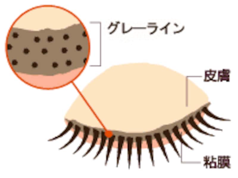 まつ毛ケア