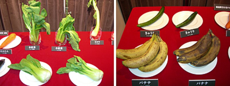 National・コンパクトBiG