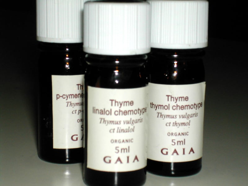 thymus8.jpg