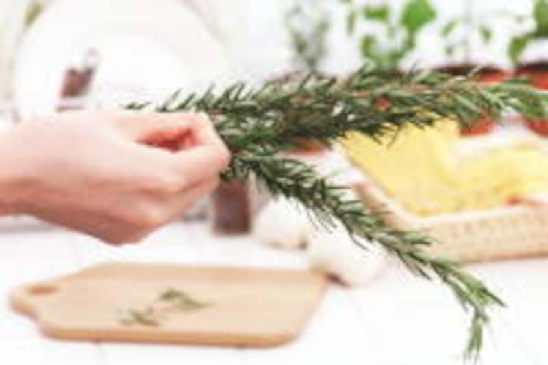 清々しいハーブの香り ローズマリー