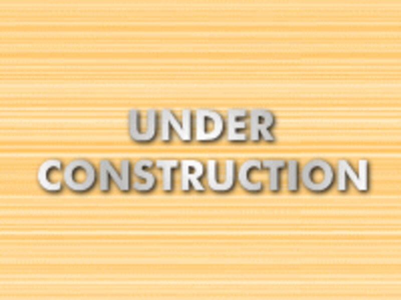 唐津・呼子イカ検定公式サイト