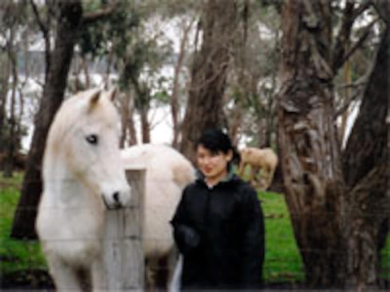 知り合いを訪ねて