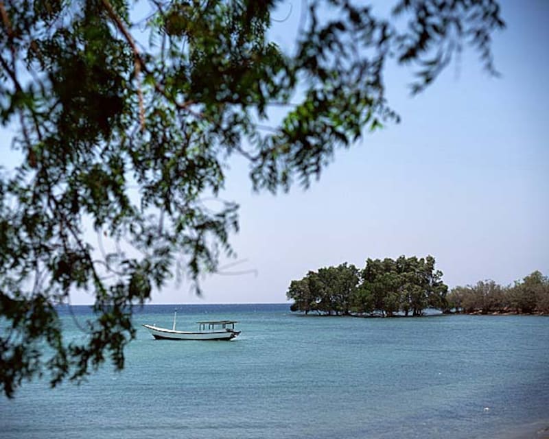 シンガポール留学