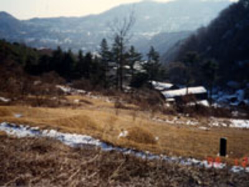 韓国のお墓の風景