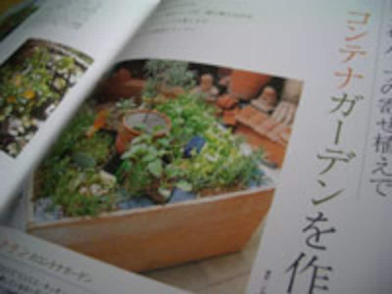 おうちで野菜作り