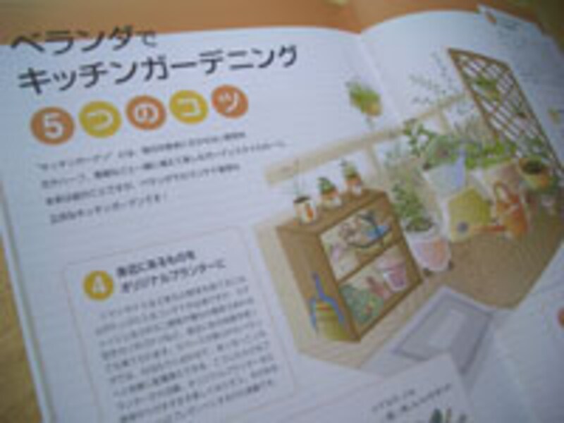 おうちで野菜作り