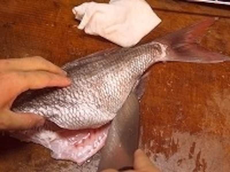 腹側に包丁を入れる。