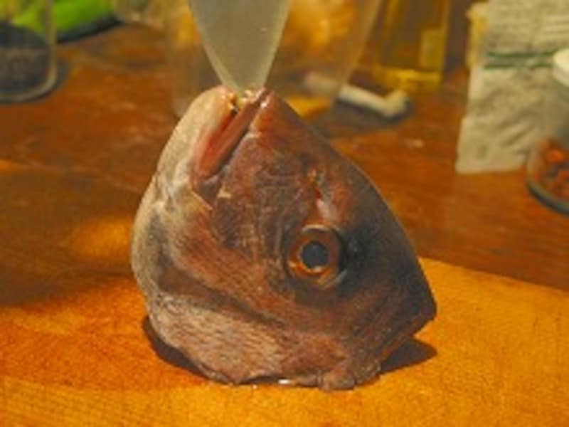 頭を割るその1