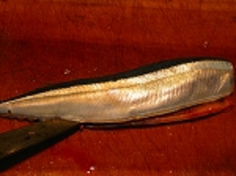 サンマの三枚おろし１