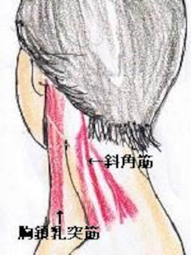 画像の代替テキスト