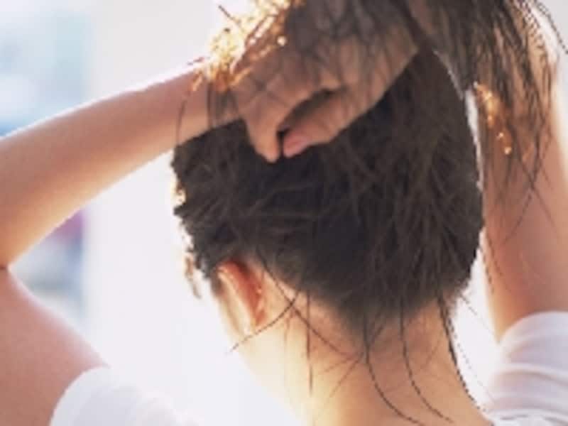 画像の代替テキスト