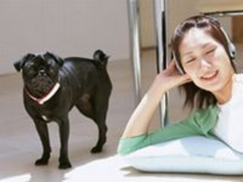 画像の代替テキスト