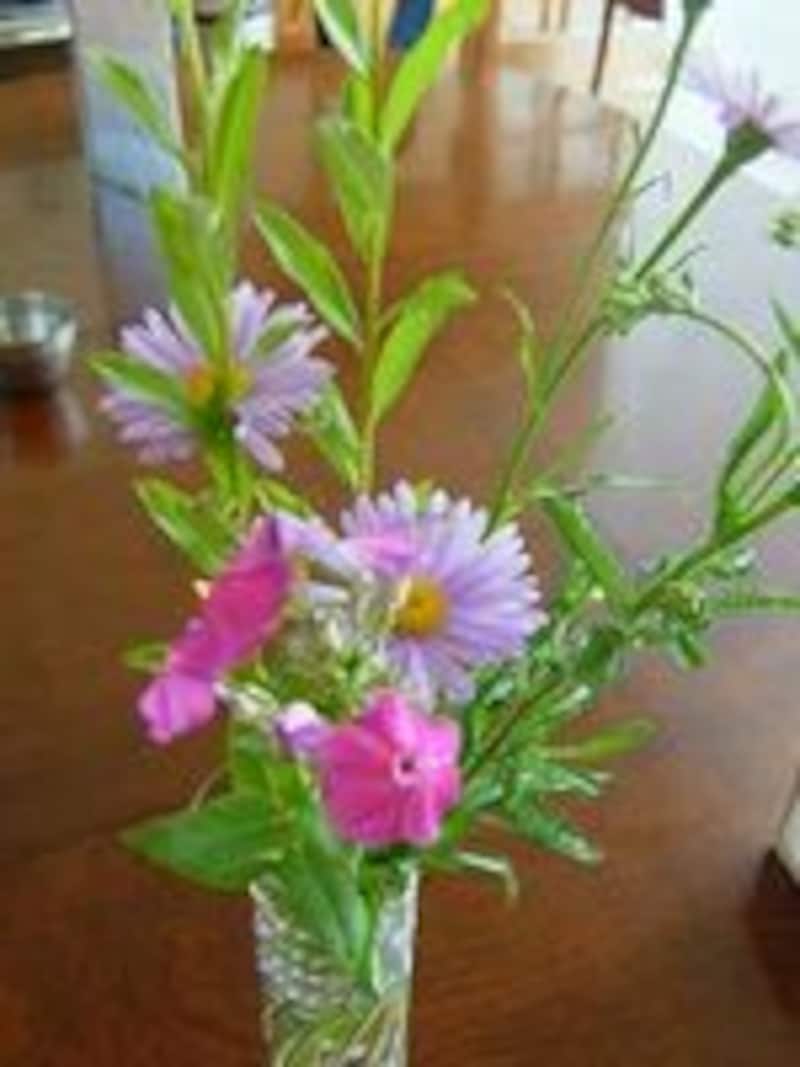 画像の代替テキスト