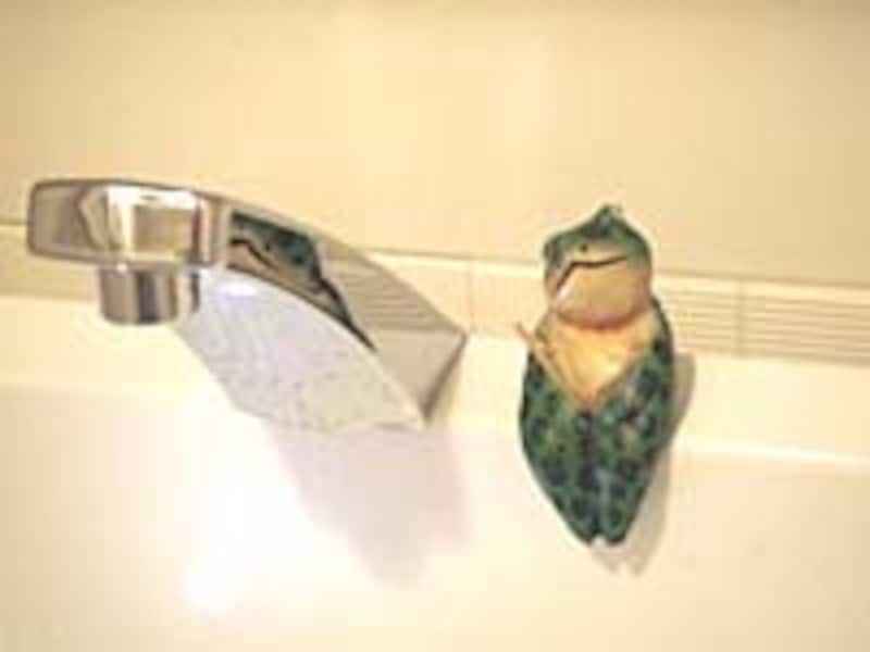 小さな習慣の積み重ねが日々の暮らしの確認作業になります