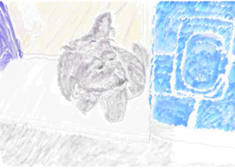 WACOM(ワコム) ペンタブレット「Bamboo Art Master」