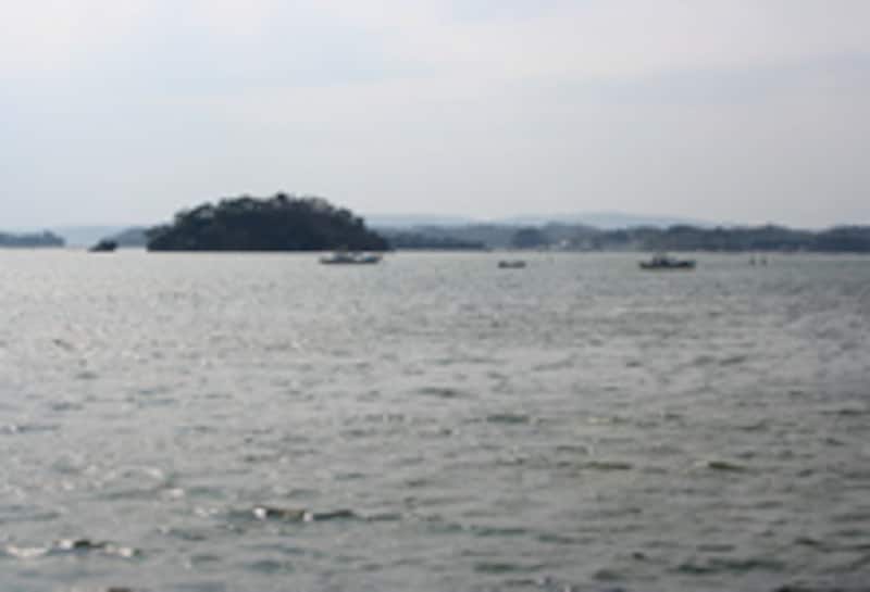 車窓に松島湾を望む