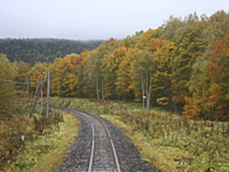 池北峠付近の風景