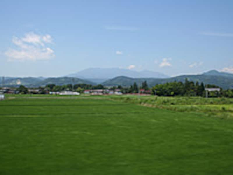 白石付近の車窓