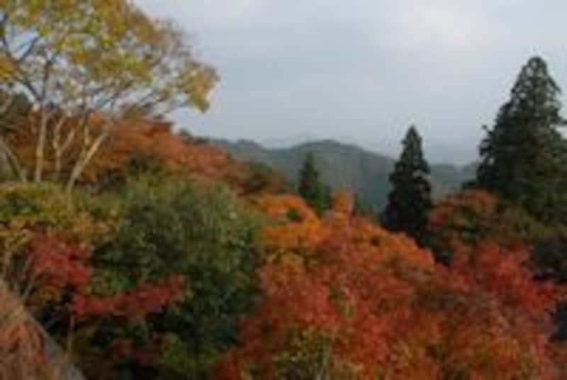 鞍馬山の紅葉