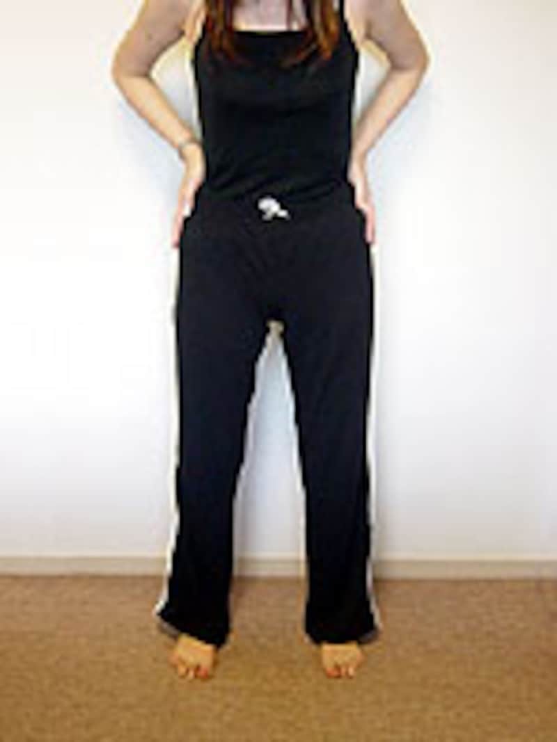 猫のポーズ（その1）