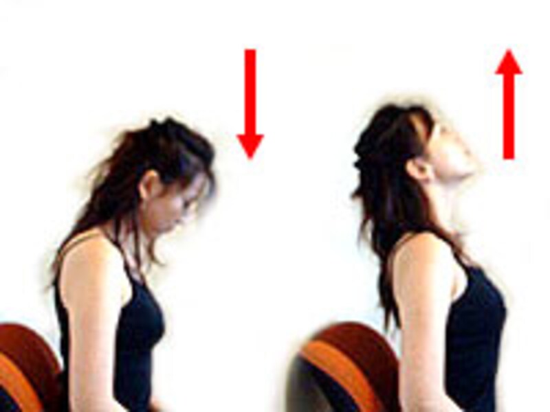 首ストレッチ(その2)