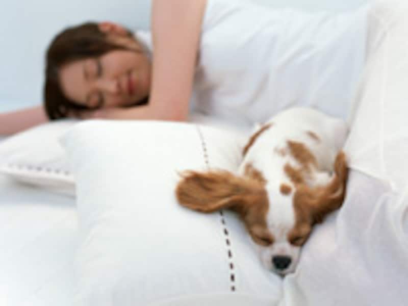 正しい姿勢で眠りましょう！