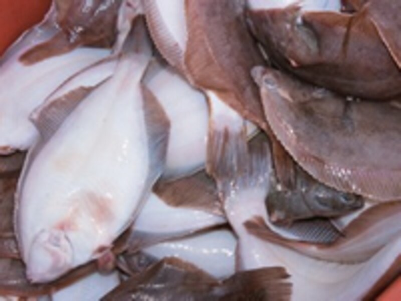英語メニューを読み解くヒント 魚料理 編 トラベル英会話 All About