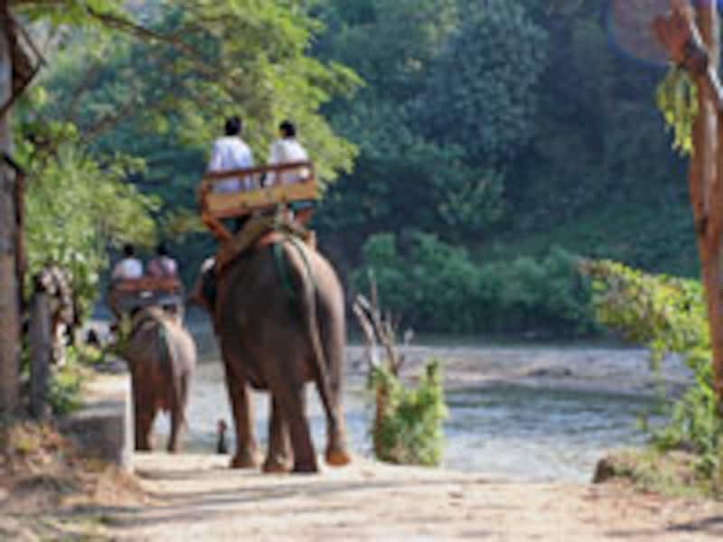 エレファントパーク