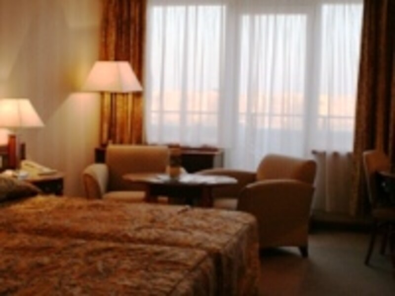 ダヌビウス客室