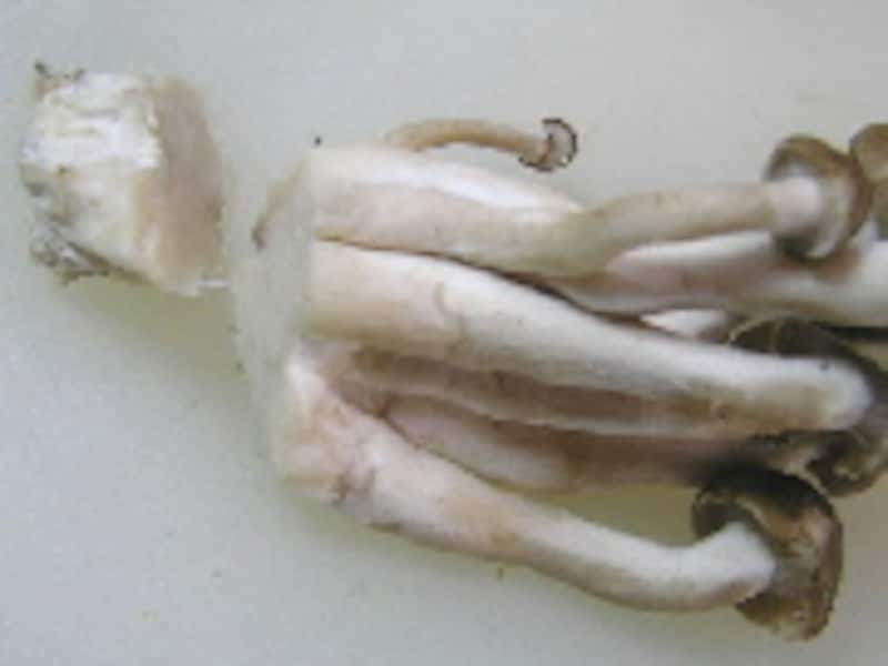 秋野菜たっぷりのドライカレー