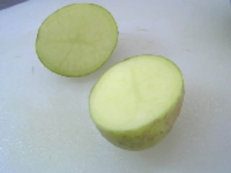 サラミジャーマン