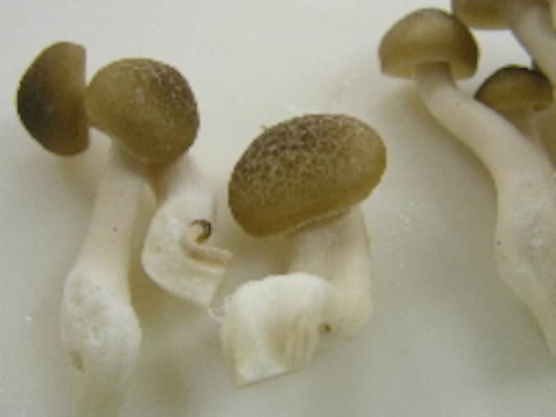 春菊の和え物