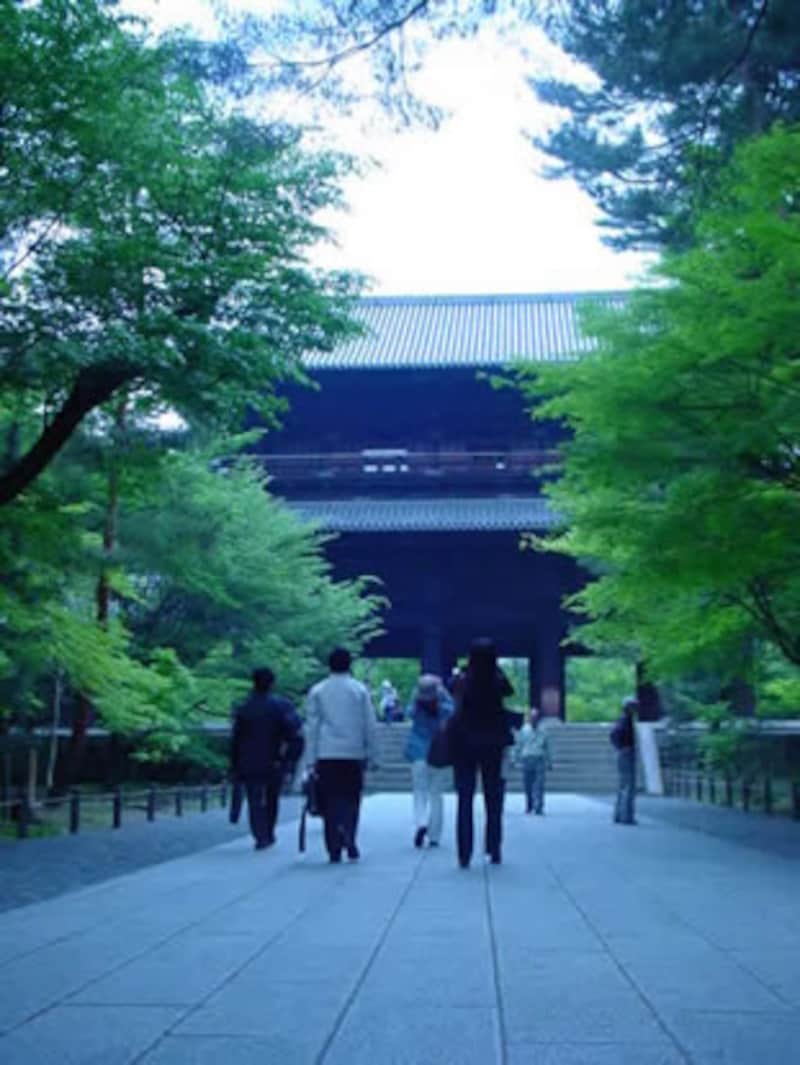 何歳になってもドキドキする旅行を