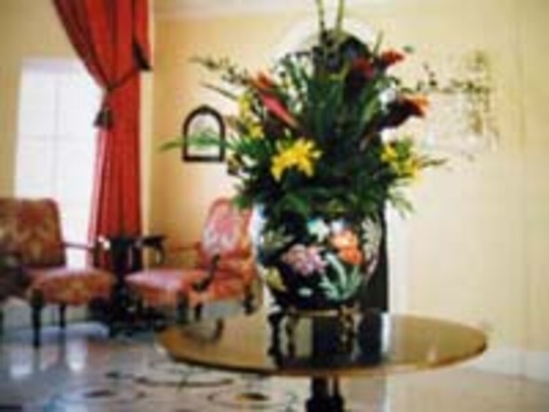 写真のタイトル