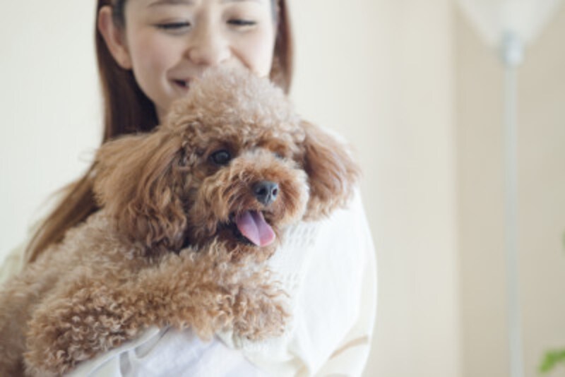夫婦円満の秘訣と心得ベスト10 うまくいく夫婦とは 夫婦関係 All About