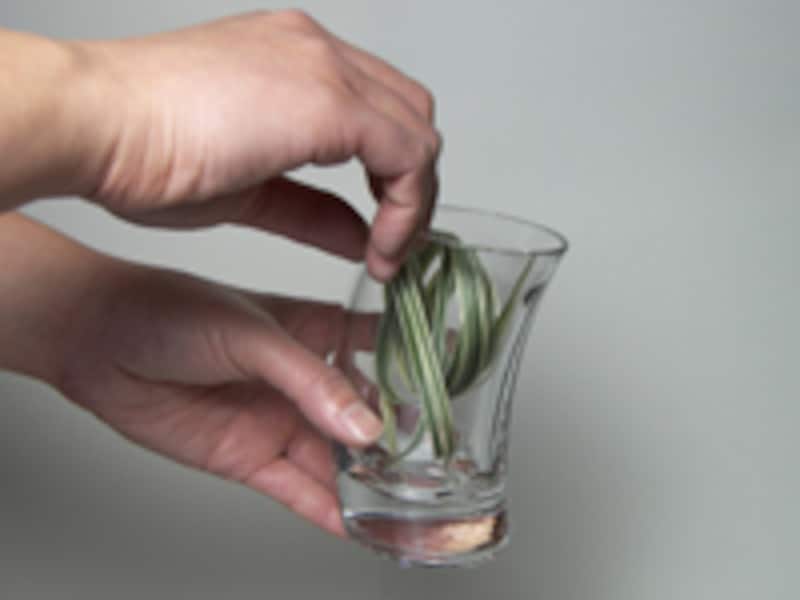 ミスキャンタスをグラスに入れる