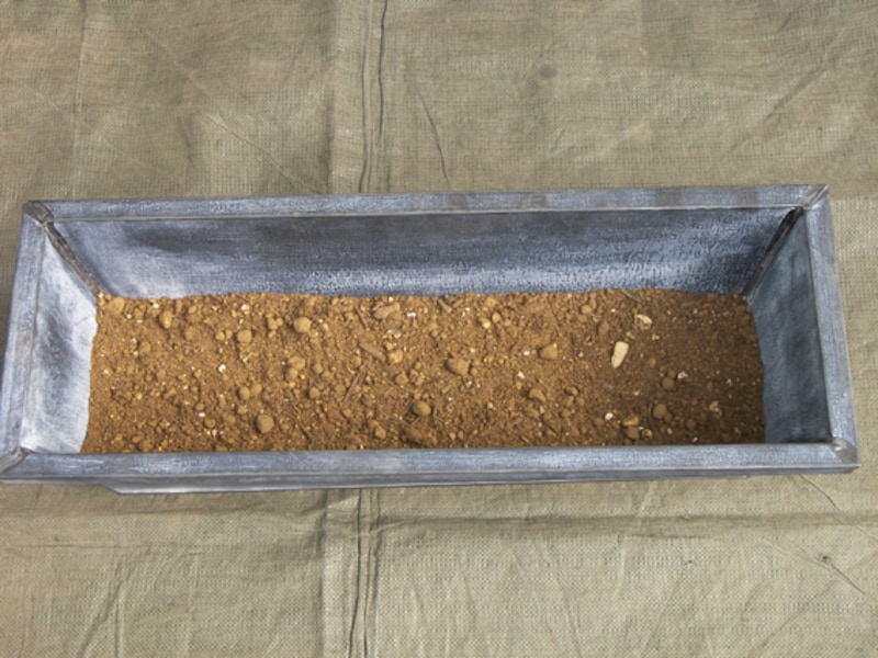 培養土を入れる