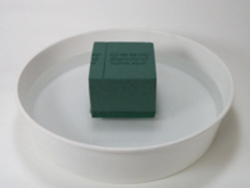 水にそっと浮かせる