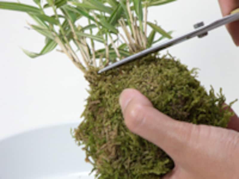 針金をとめて切る