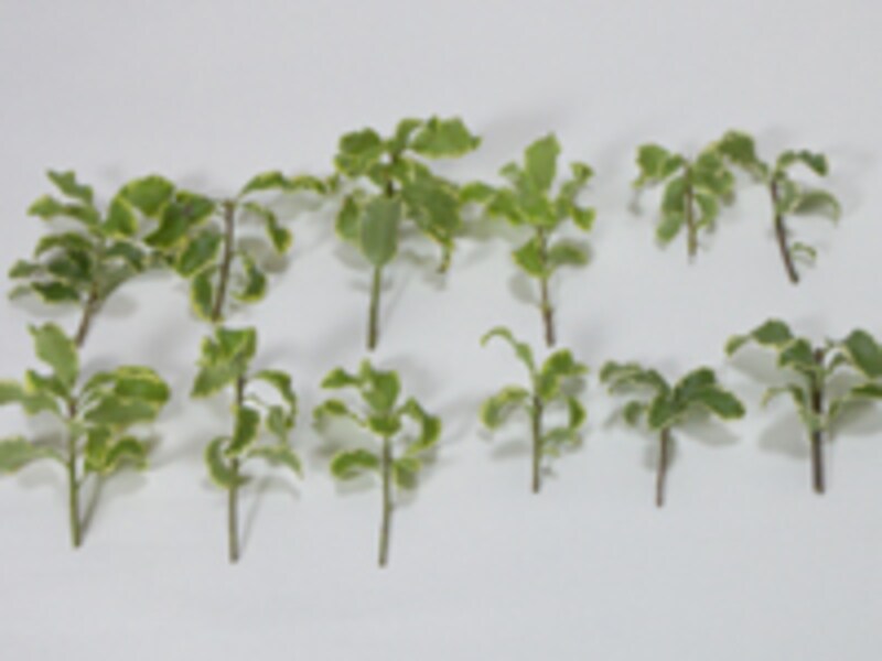 パーツが揃った