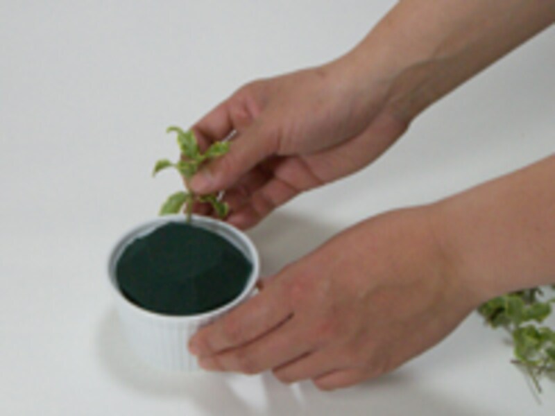 吸水性フォームへ挿す