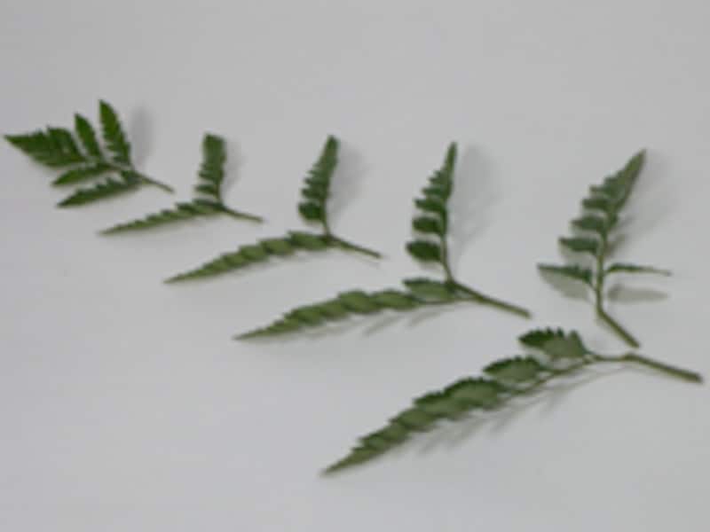 6つのパーツに分かれた