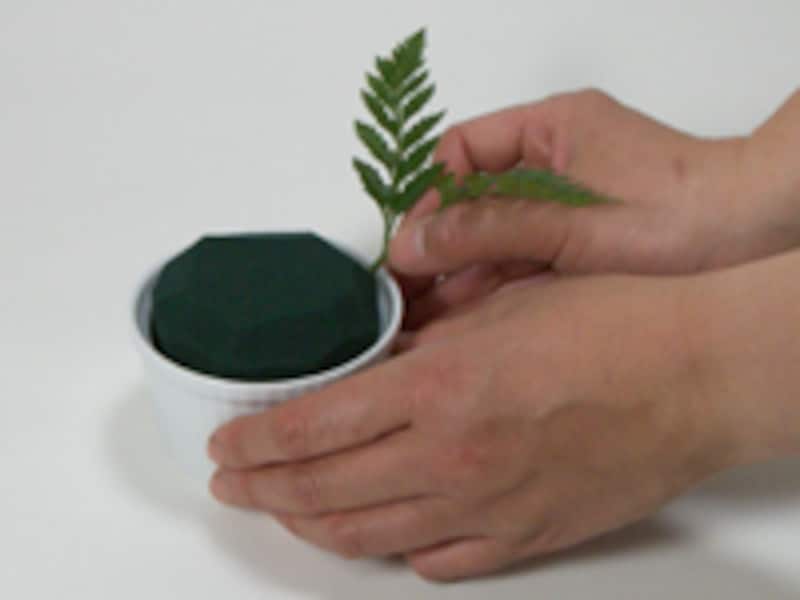 吸水性フォームに挿す