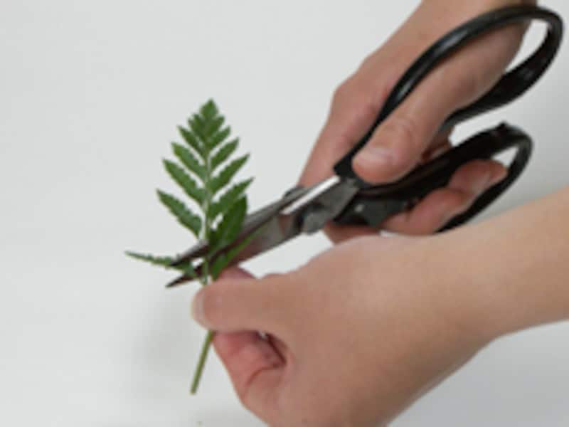 長すぎたら、ここで切ってもOK。