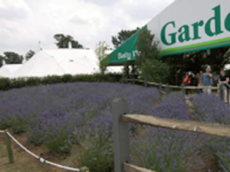 ハンプトンコート