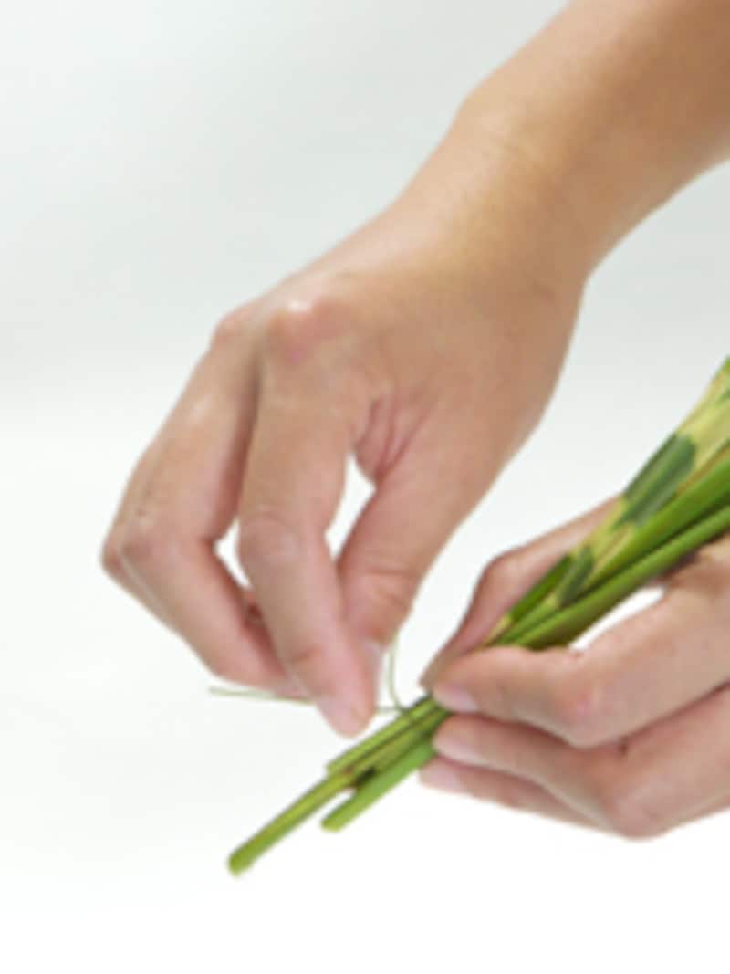 ススキを束ねる